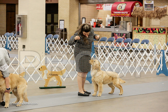 Best Puppy Thurs Rings_ST_1748-HR3
