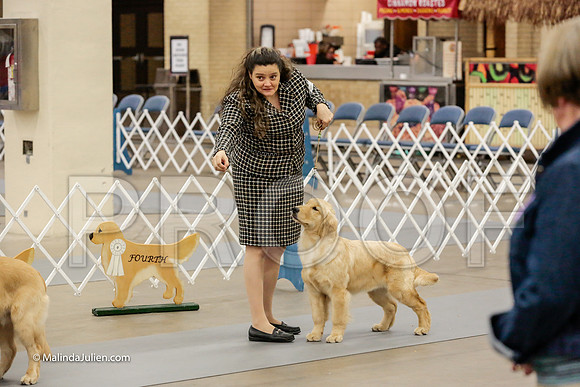 Best Puppy Thurs Rings_ST_1749-HR3