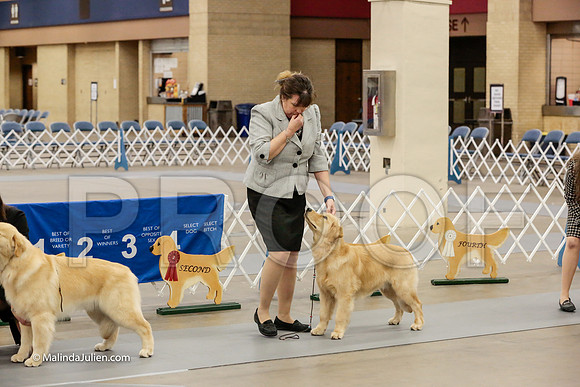 Best Puppy Thurs Rings_ST_1750-HR3