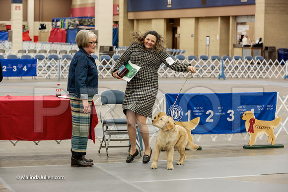 Best Puppy Thurs Rings_ST_1756-HR3