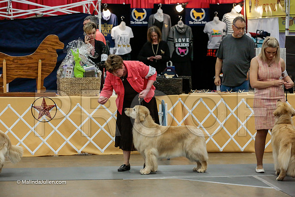 Best of Breed Friday Rings_ST_4589-HR3