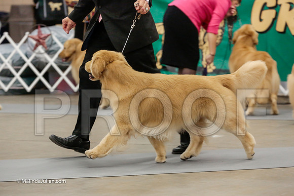 Best of Breed Friday Rings_ST_4620-HR3