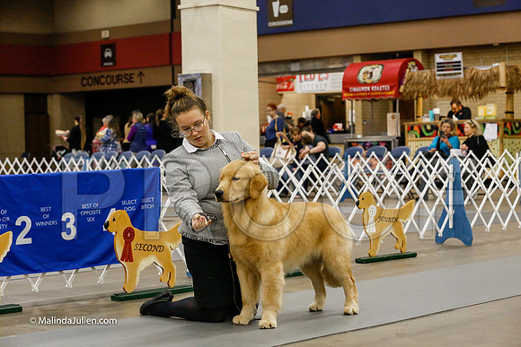 Jr. Show Novice Senior Friday Rings_CL_1743-HR3