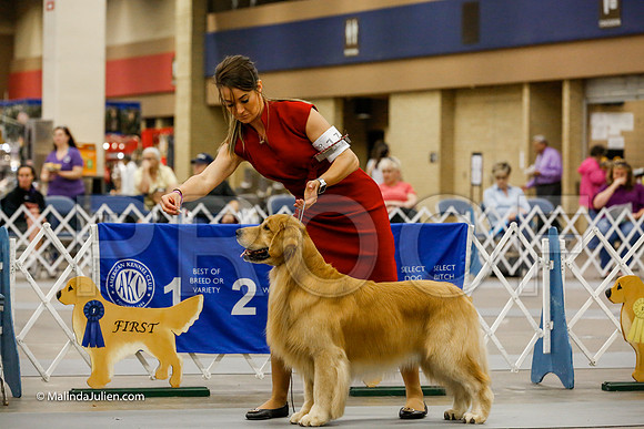 Winners Dog Friday Ring_CL_2515-HR3