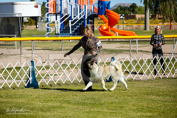 _JJ_9856-AlamogordoOct2014-HR3