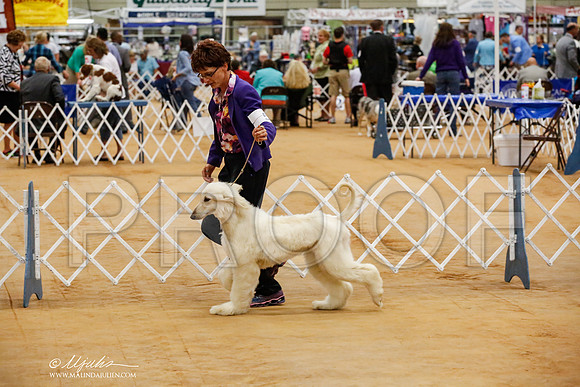 _HR_7734-TxArJun2014-HR3
