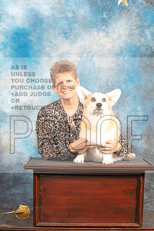 Pembroke Welsh Corgi SAT Turner CUSTOM_MJ_6177_Houston_2022_HR3
