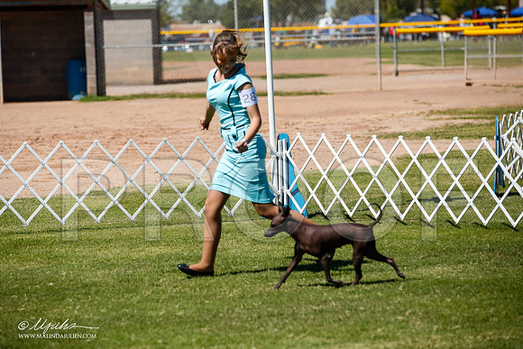 _JJ_8027-AlamogordoOct2014-HR3