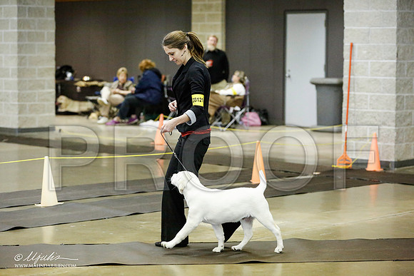 _RH_1113-BeltonJan2015IABCA-HR3