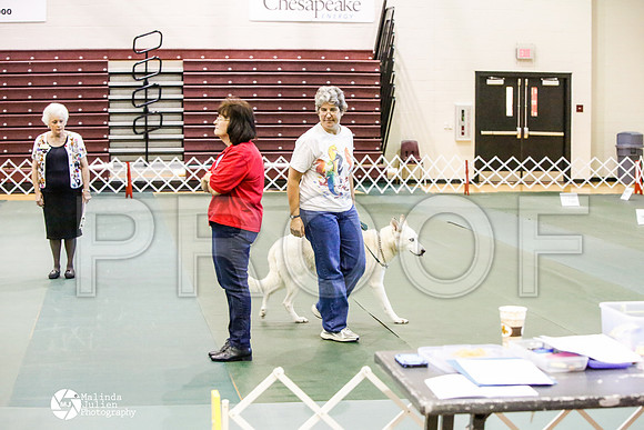 _JJ_3478-BsrCtyJun2014-HR3