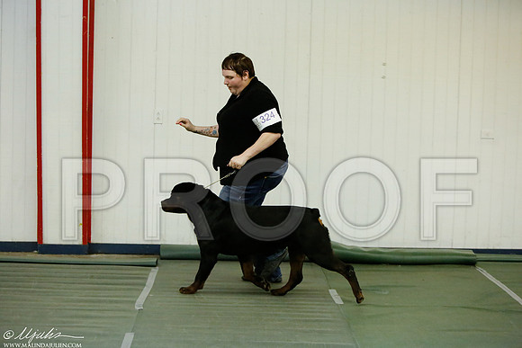 _MJ_4497-DentonMar2015-HR3