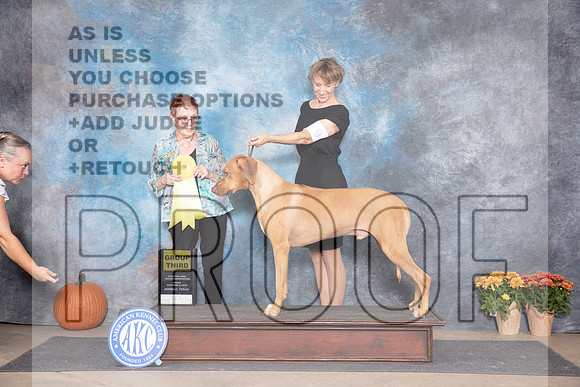 Rhodesian Ridegback #9 Fri G3 Judge Ann Meyer__JP_8291_Humble_2024_HR3