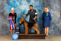 Airedale Terrier #5 Sun BIS Judge Eva Berg