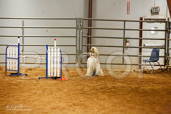 _MJ_2484-AfgBeltonOct2014-HR3