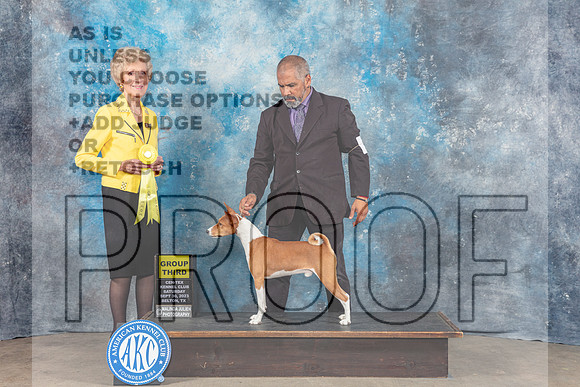 Basenji #5 Sar G3 Judge June Penta-_CL_6390_Belton2023-HR3