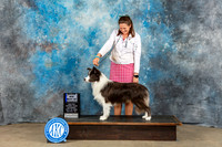Border Collie #7 Sat WD BOW MAJ Judge Eva Berg