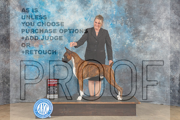Boxer #11 Sat G2 Judge Eva Berg-_CL_6441_Belton2023-HR3