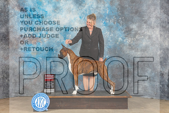 Boxer #11 Sat G2 Judge Eva Berg-_CL_6442_Belton2023-HR3