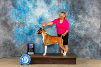 Boxer $5 Sun WD Judge Eva Berg
