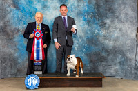 Bulldog #6 Sat BIS Judge Malcom Moore