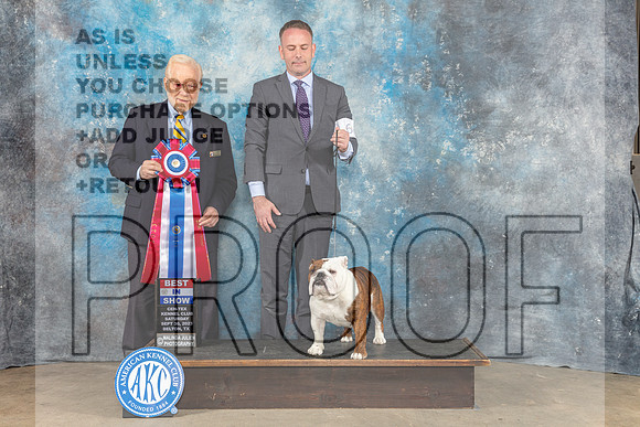 Bulldog #6 Sat BIS Judge Malcom Moore-_CL_6460_Belton2023-HR3