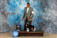 Cavalier King Charles Spaniel #12 Sun WB BOB Judge Malcom Moore