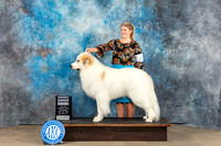 Great Pyrenees #5 Sat G4 Judge Eva Berg