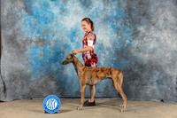 Greyhound #5 Sat BOB BOW Judge June Penta