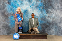 Pekingese #5 Sun G1 Judge Molly Martin