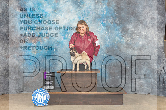 Pug #10 Sun OHG1 Judge Eva Berg-_CL_6802_Belton2023-HR3