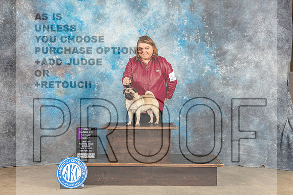Pug #10 Sun OHG1 Judge Eva Berg-_CL_6803_Belton2023-HR3