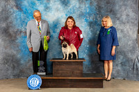 Pug #10 Sun OHRBIS Judge Kenneth Berg