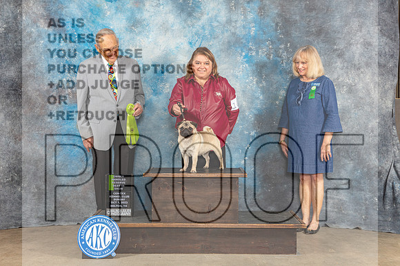 Pug #10 Sun OHRBIS Judge Kenneth Berg-_CL_6832_Belton2023-HR3