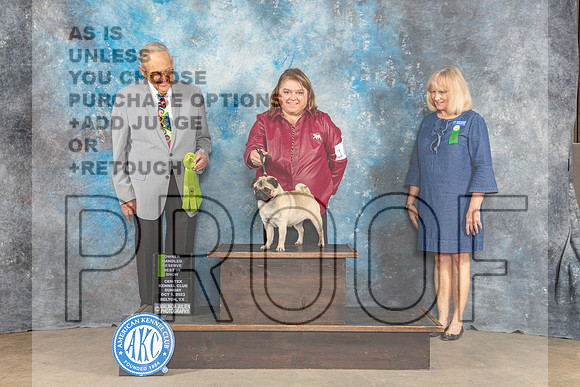 Pug #10 Sun OHRBIS Judge Kenneth Berg-_CL_6833_Belton2023-HR3