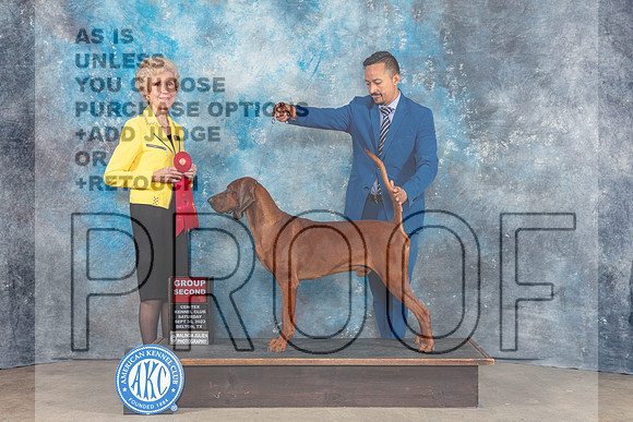 Redbone Coonhound #5 Sat G2 Judge June Penta-_CL_6427_Belton2023-HR3