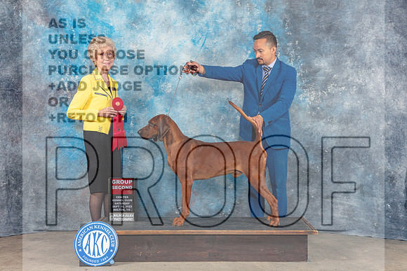 Redbone Coonhound #5 Sat G2 Judge June Penta-_CL_6428_Belton2023-HR3