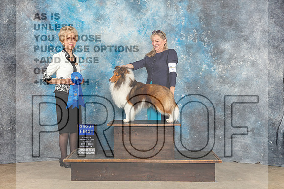 Shetland Sheepdog #17 Sun G1 Judge June Penta-_CL_6731_Belton2023-HR3