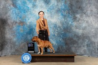 Staffordshire Bull Terrier #5 Sat BOW Judge Kenneth Berg