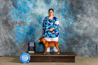 Staffordshire Bull Terrier #8 Sun RWB Judge Gerard Penta