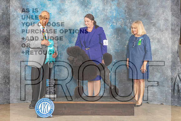 Standard Poodle #6 Sun OHBIS Judge Kenneth Berg-_CL_6830_Belton2023-HR3