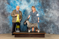 Standard Schnauzer #6 Sun G3 Judge Gerard Penta