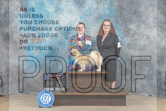Tibetan Spaniel #10 Sat BOW OHBOB NC Judge Malcom Moore-_CL_6271_Belton2023-HR3