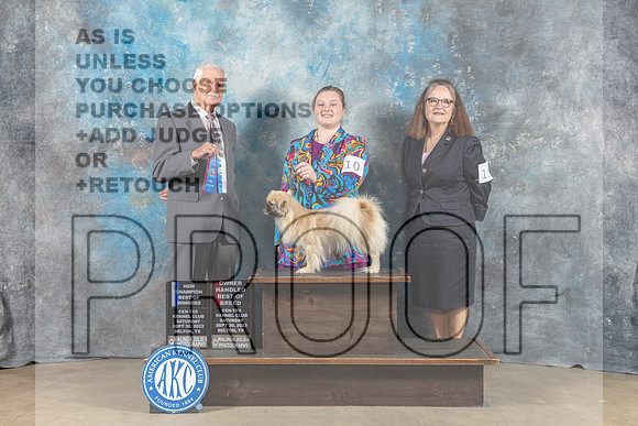 Tibetan Spaniel #10 Sat BOW OHBOB NC Judge Malcom Moore-_CL_6273_Belton2023-HR3