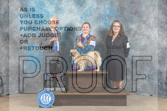 Tibetan Spaniel #10 Sat BOW OHBOB NC Judge Malcom Moore-_CL_6274_Belton2023-HR3