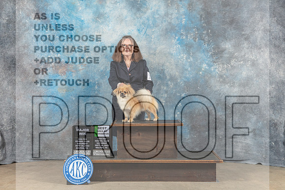 Tibetan Spaniel #19 Sat WD BBE MAJ Judge Malcom Moore-_CL_6277_Belton2023-HR3
