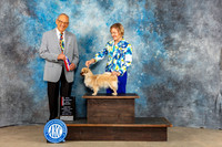 Tibetan Spaniel #9 Sun BOS MAJ NC Judge Kenneth Berg