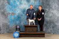 Toy Fox Terrier #6 Sat BOW BOB MAJ Judge June Penta