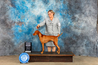 Vizsla #16 Sun G4 Judge Kenneth Berg
