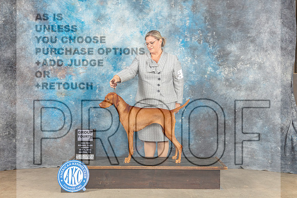 Vizsla #16 Sun G4 Judge Kenneth Berg-_CL_6820_Belton2023-HR3
