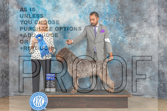Wirehaired Pointing Griffon #9 Sat G1 Judge Molly Martin-_CL_6365_Belton2023-HR3